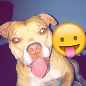 Meet your Posher, Janet